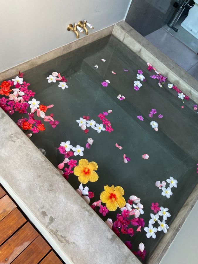Tropicalia Chales Boutique Praia de Pipa ภายนอก รูปภาพ